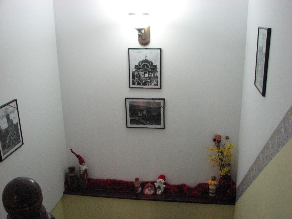 Vila Dariana Vatra Dornei Ngoại thất bức ảnh