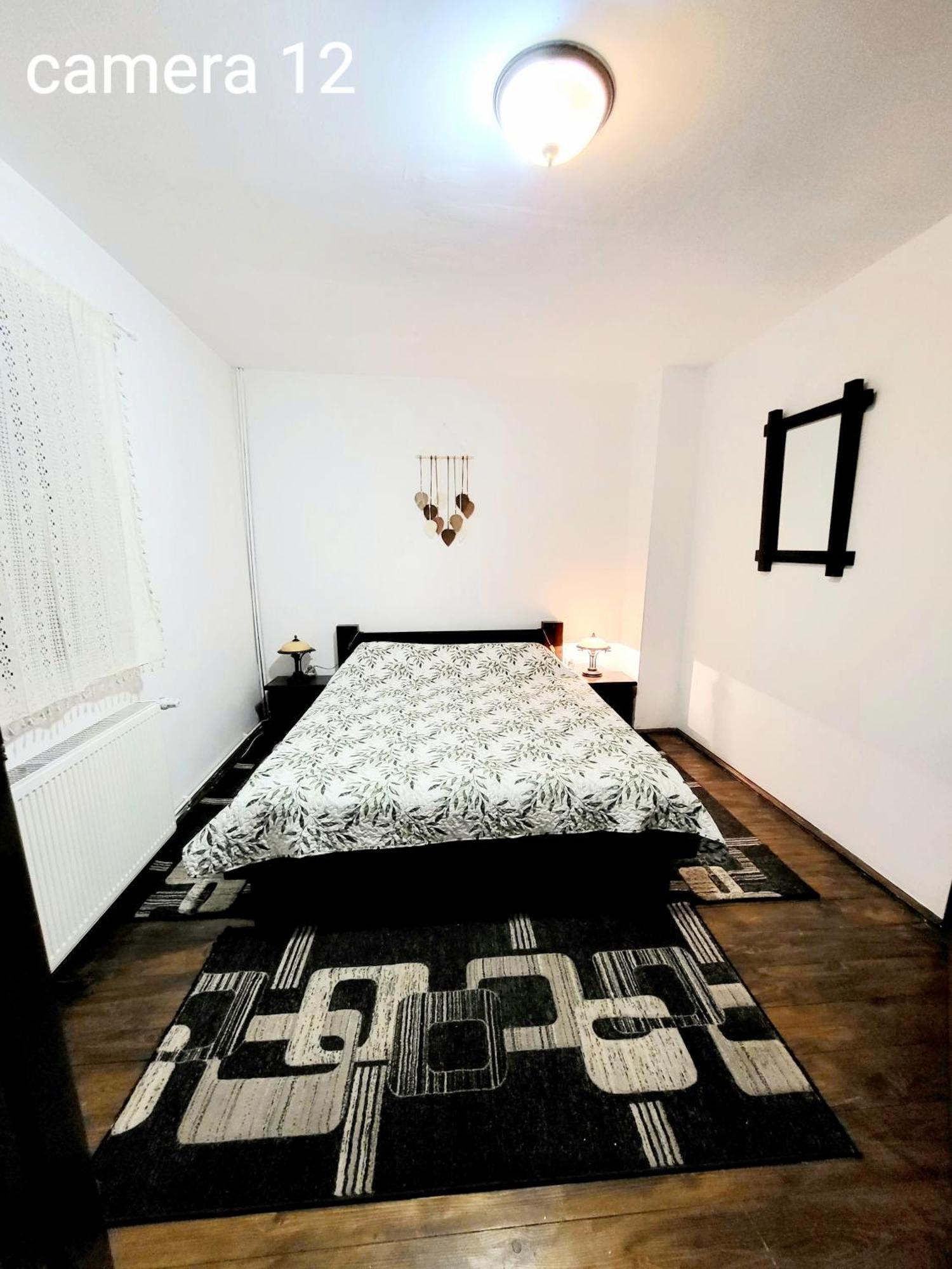 Vila Dariana Vatra Dornei Ngoại thất bức ảnh
