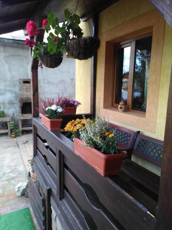 Vila Dariana Vatra Dornei Ngoại thất bức ảnh